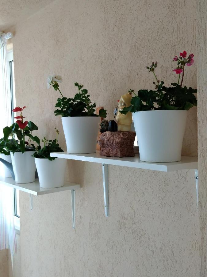 Apartament Heart Of Makarska Zewnętrze zdjęcie